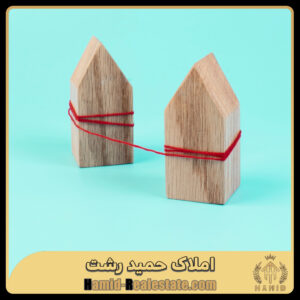 تصرف املاک توسط دولت